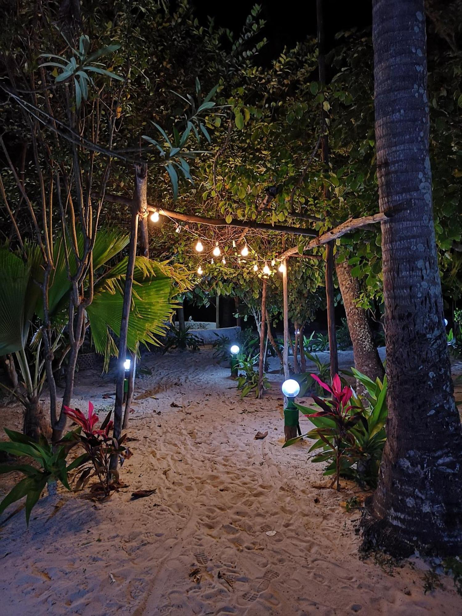 Zanzibar Gem *