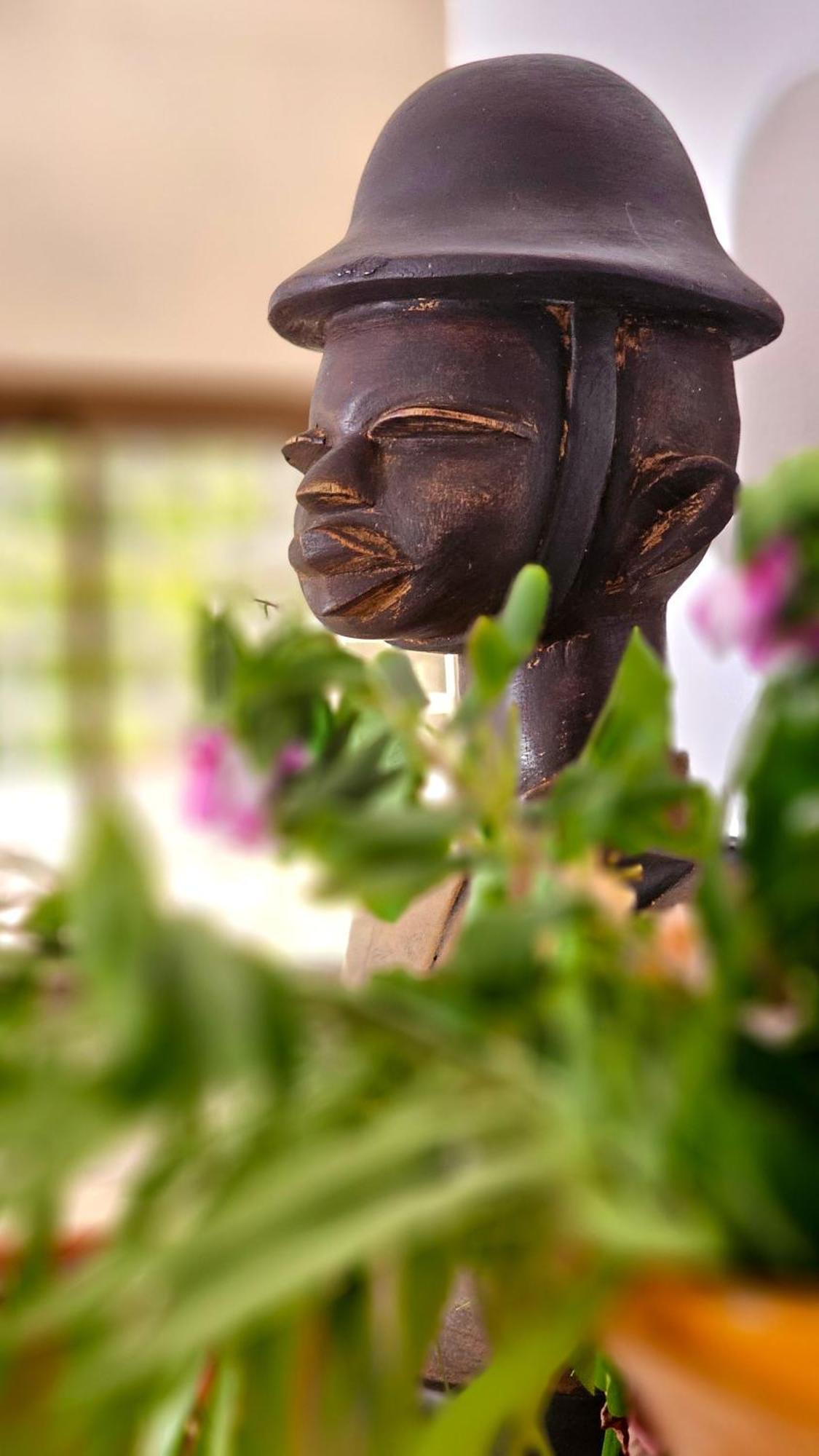 Zoi House Resort