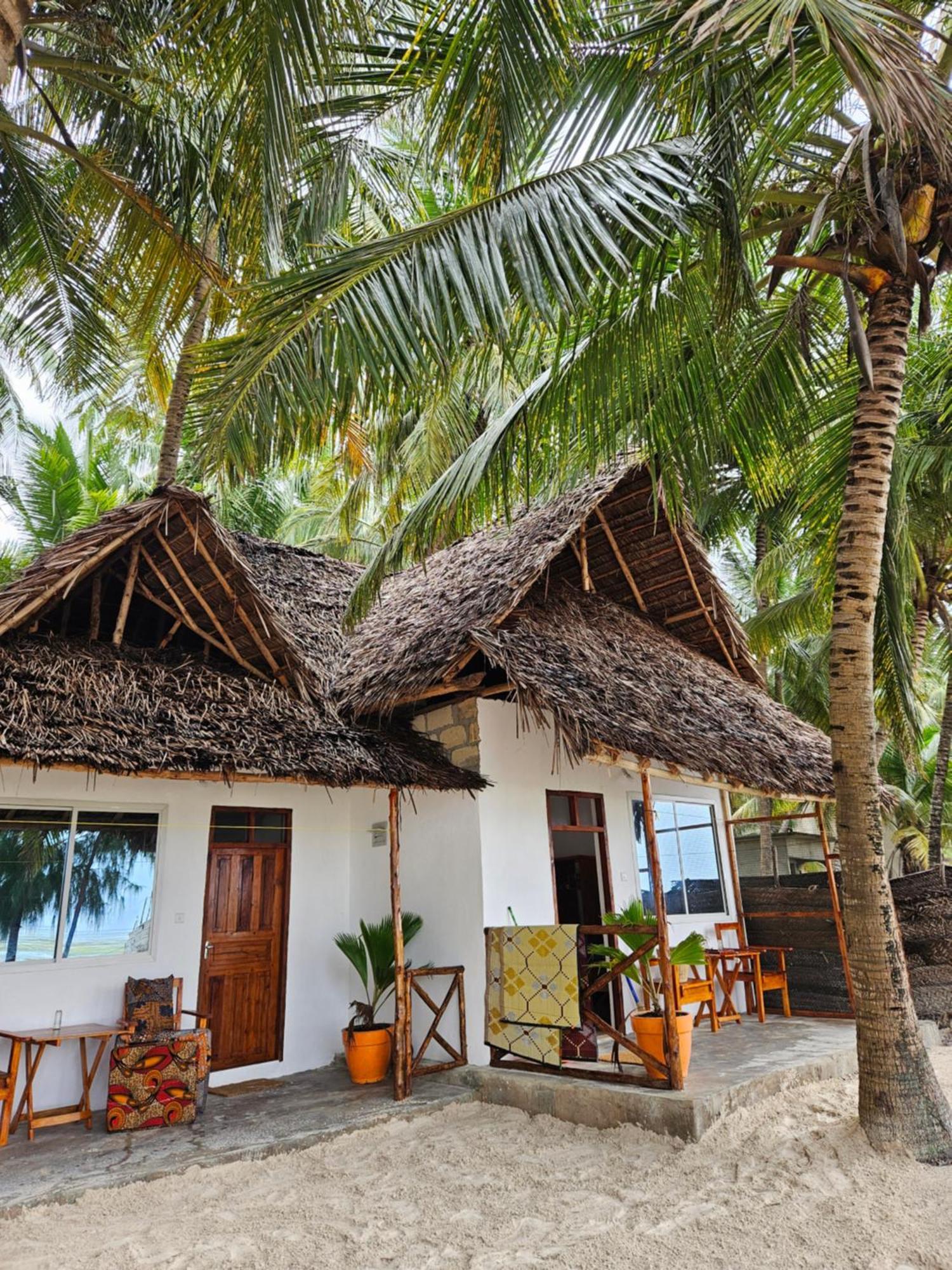 Zanzibar Gem