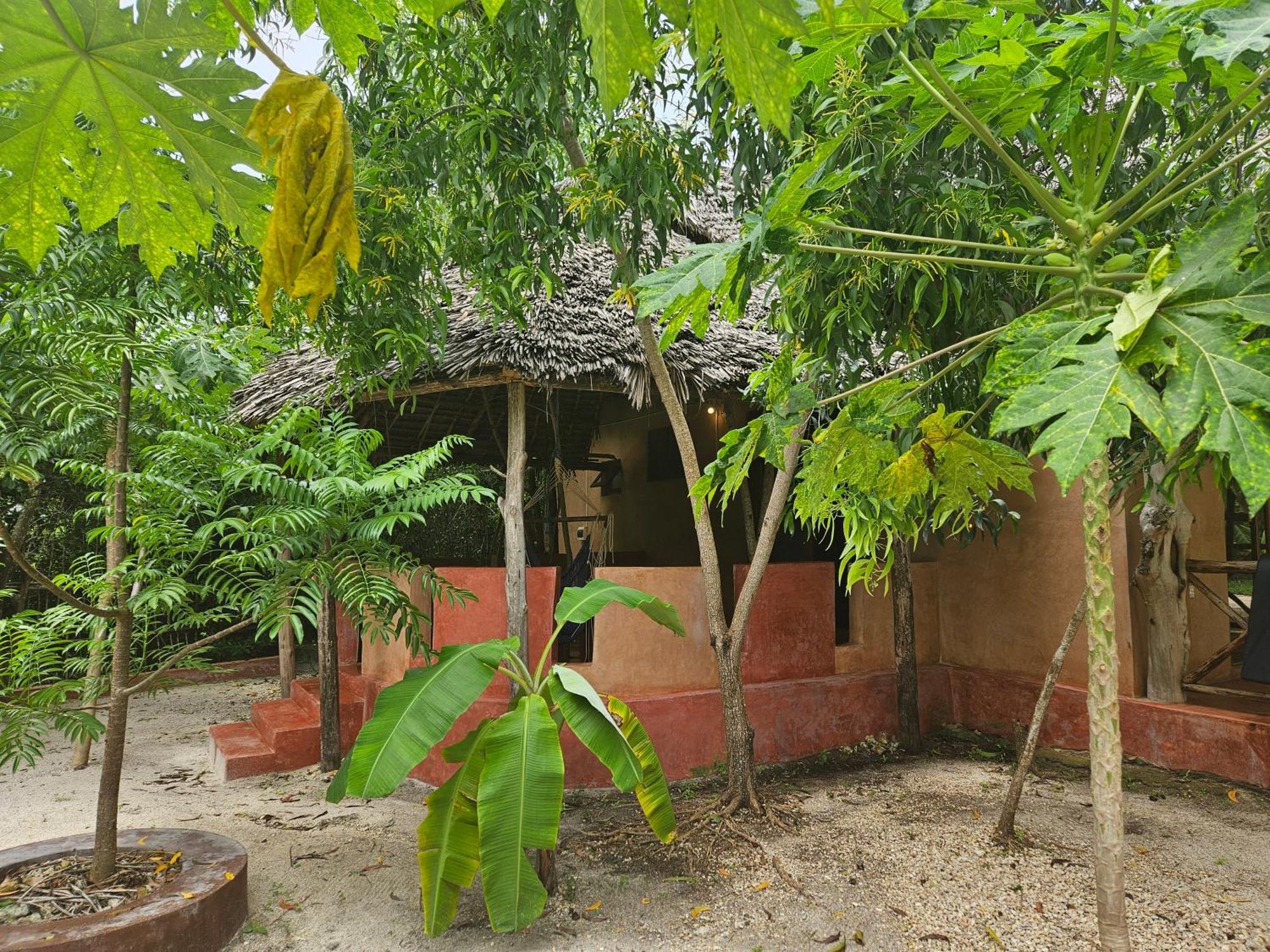Karibu Maisha *