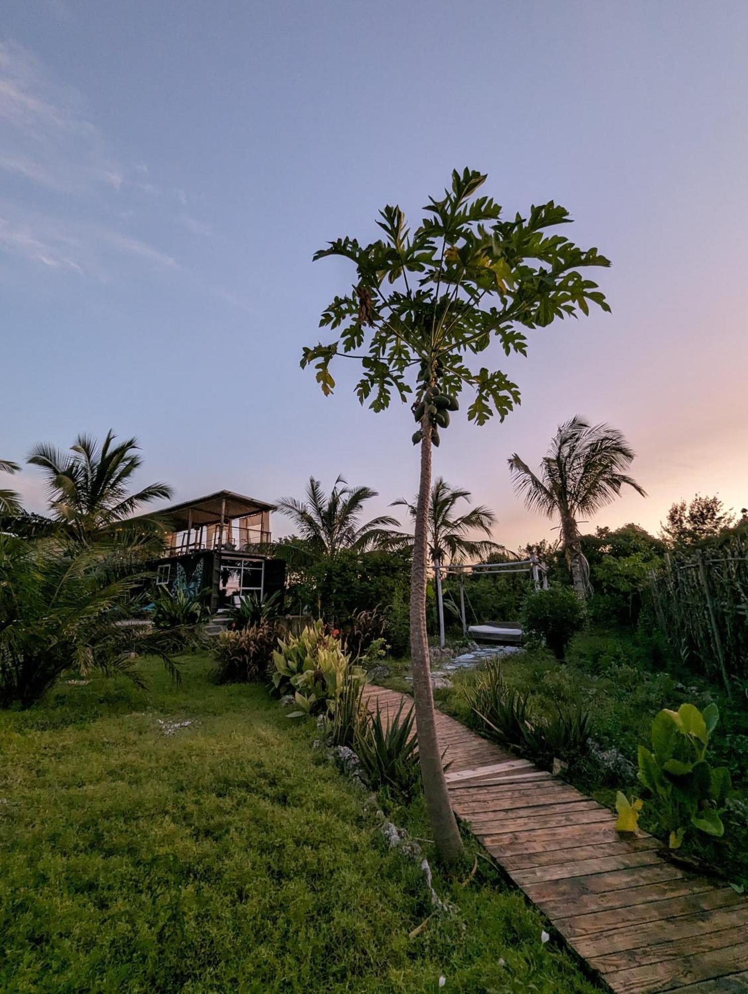 Jambiani Backpackers Hostel *