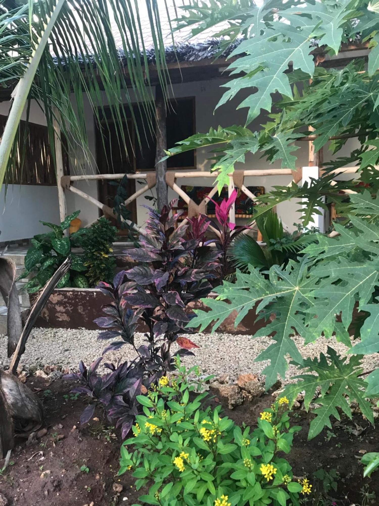 Makame Garden House Guest house *