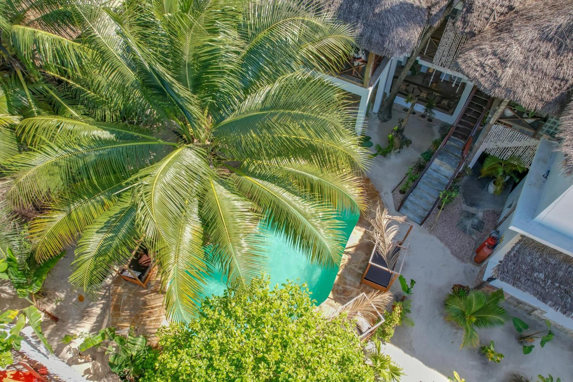 Ocean Boho House Bed & Breakfast