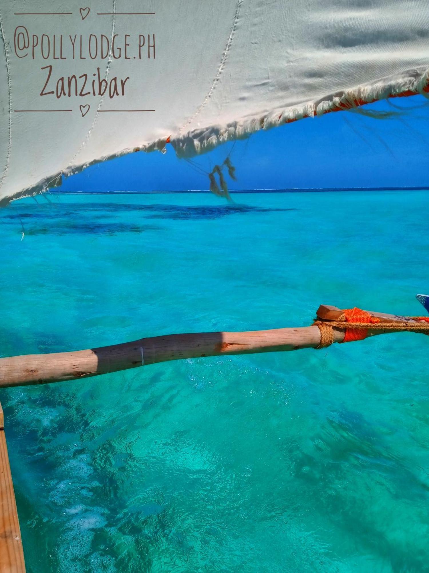 Polly Zanzibar *