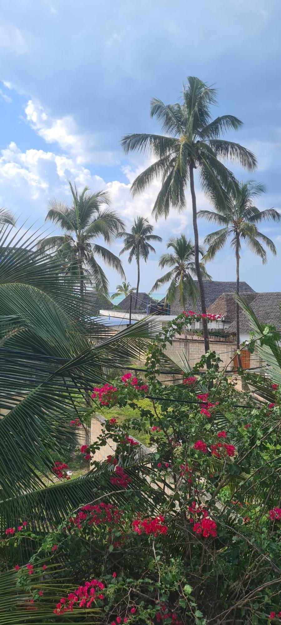 Hotel Mambo Boutique