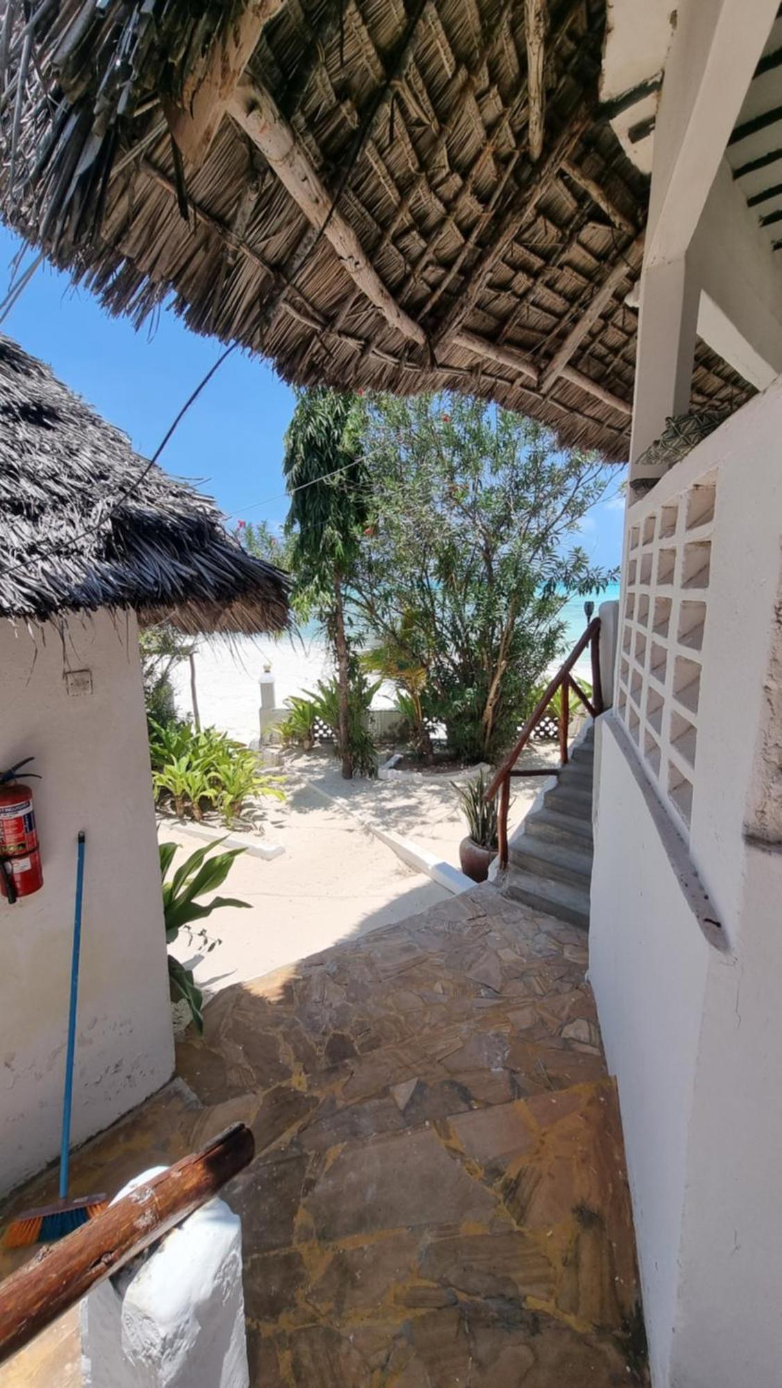 Red Monkey * Jambiani (Zanzibar)