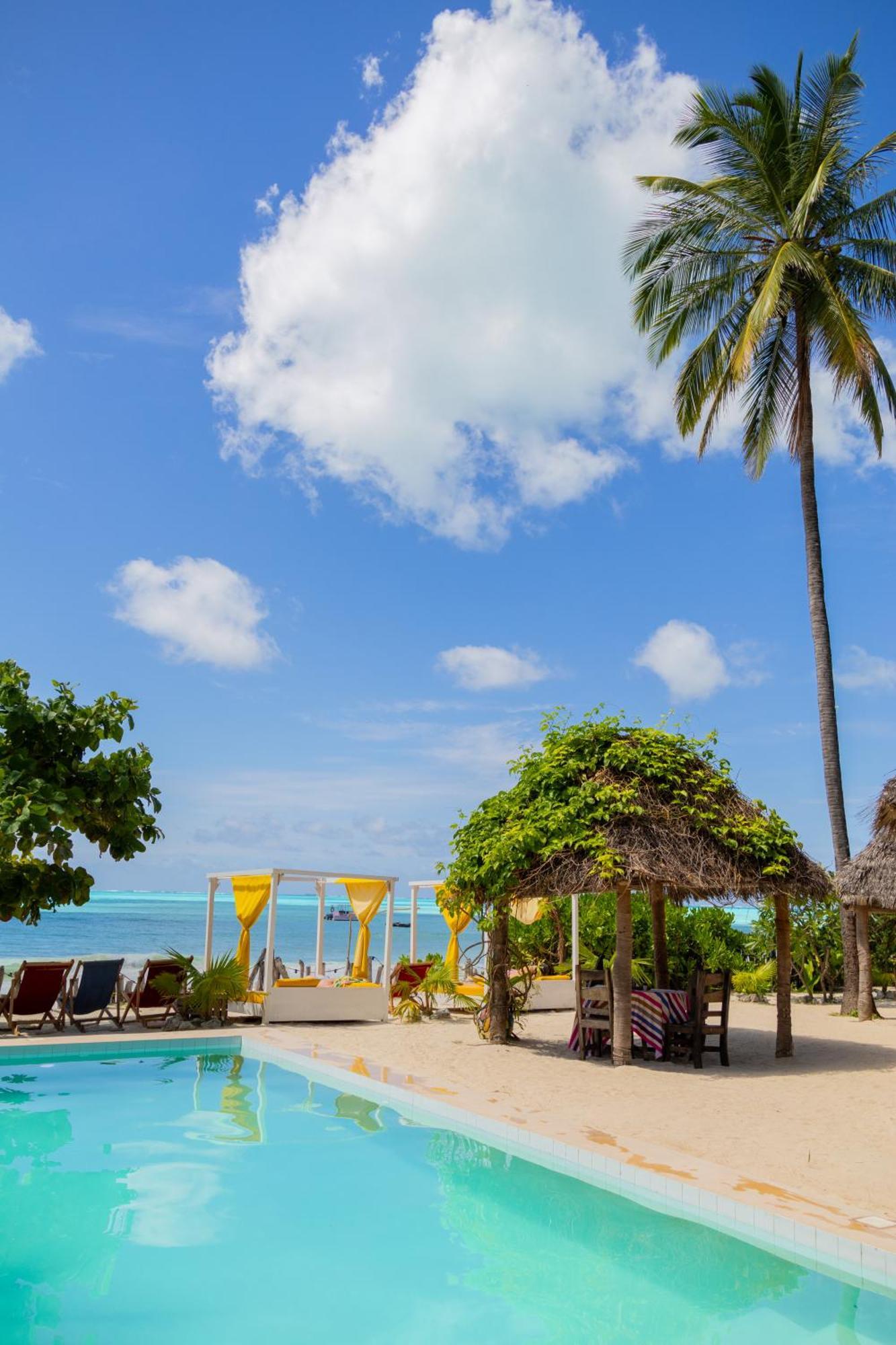 Bed & Breakfast Uhuru 3*