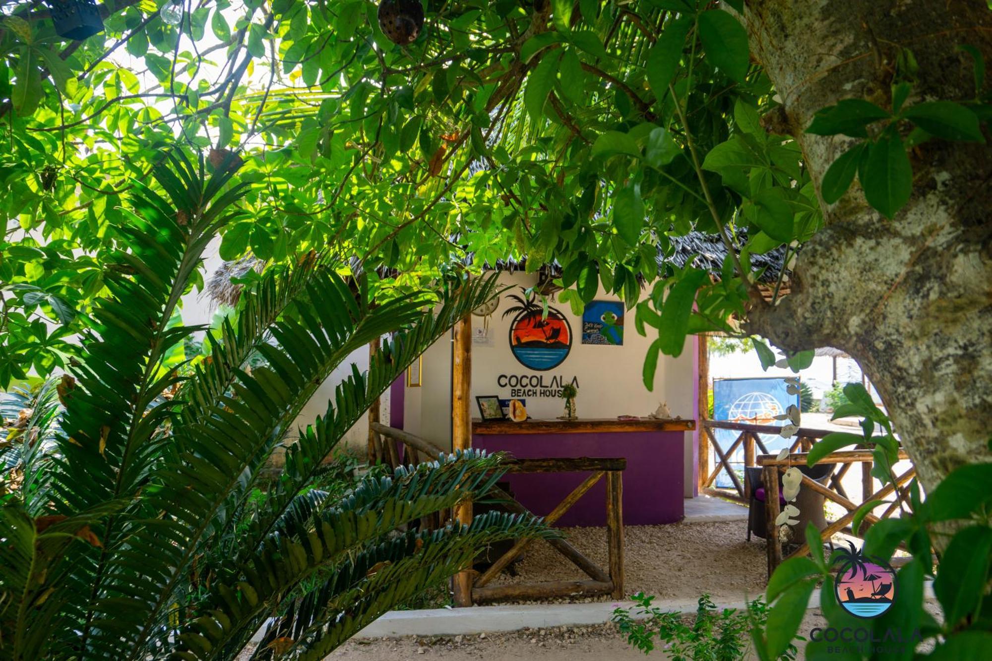 Bed & Breakfast Cocolala House *
