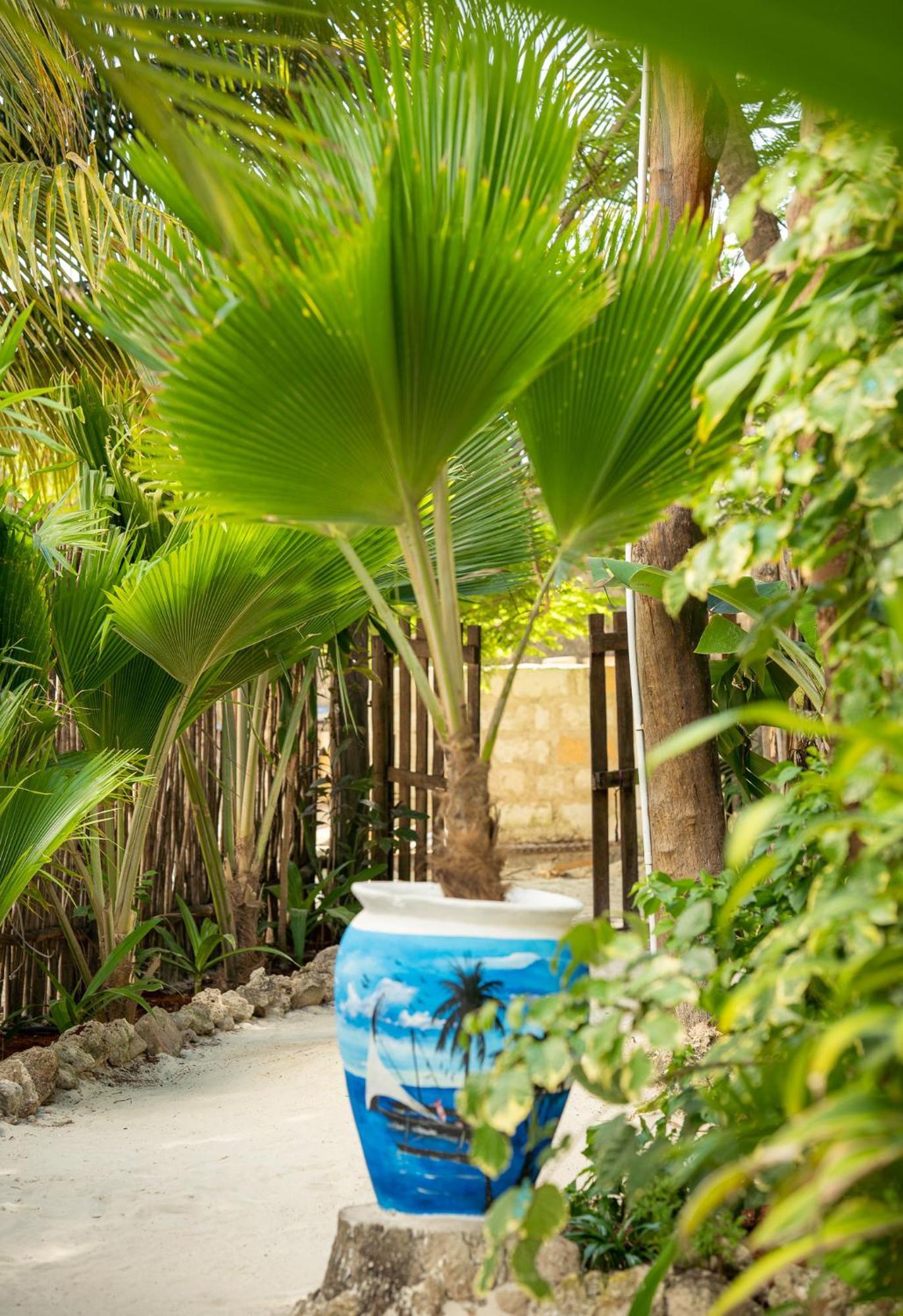 Pili Pili Jambiani (Zanzibar)