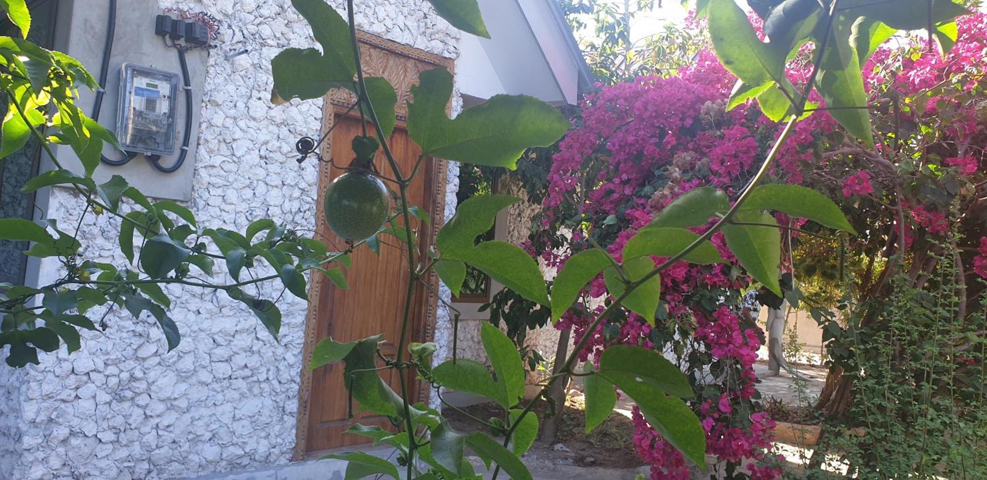 Guest house Jawda Star *