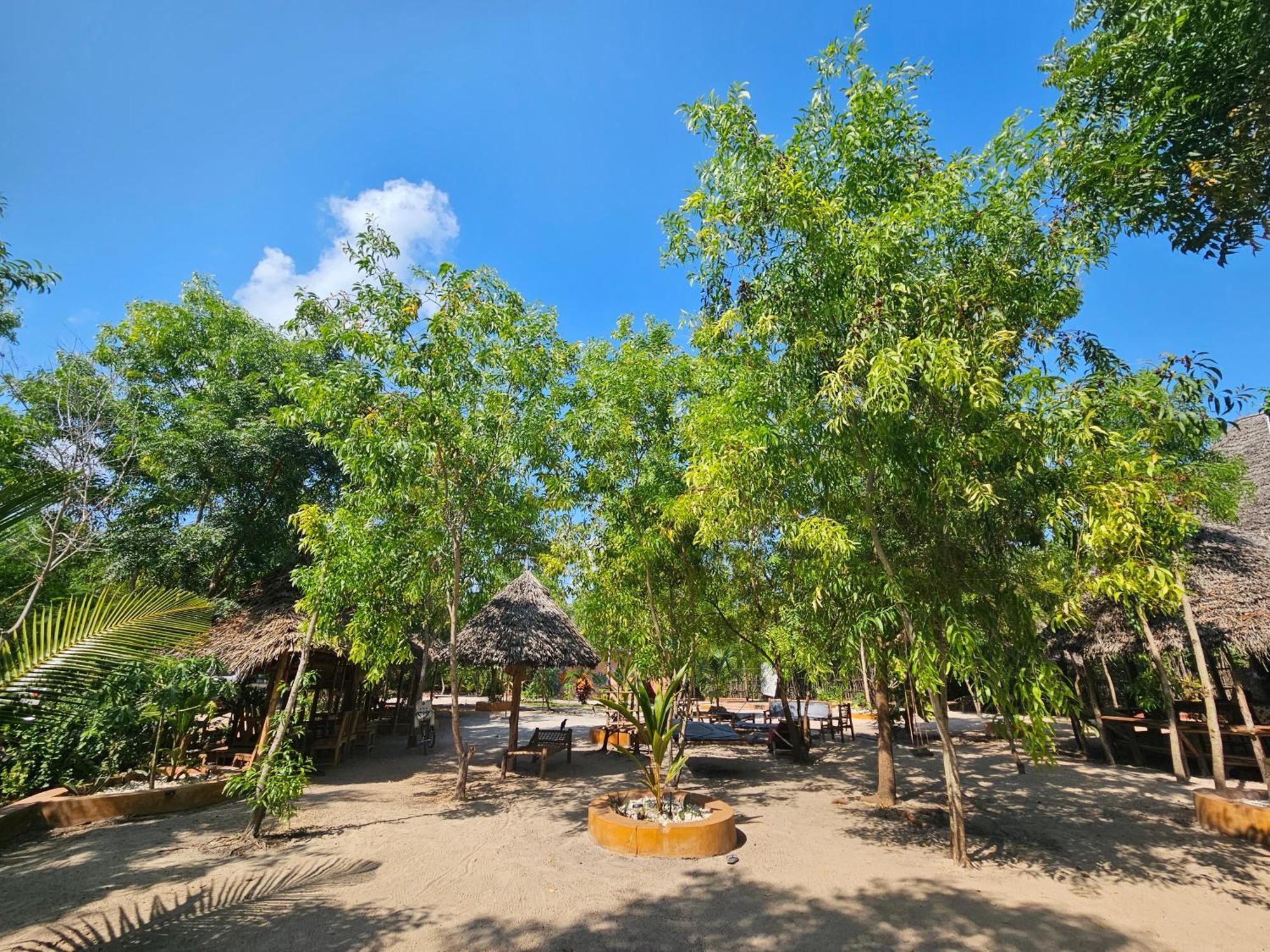 Karibu Maisha Bed & Breakfast