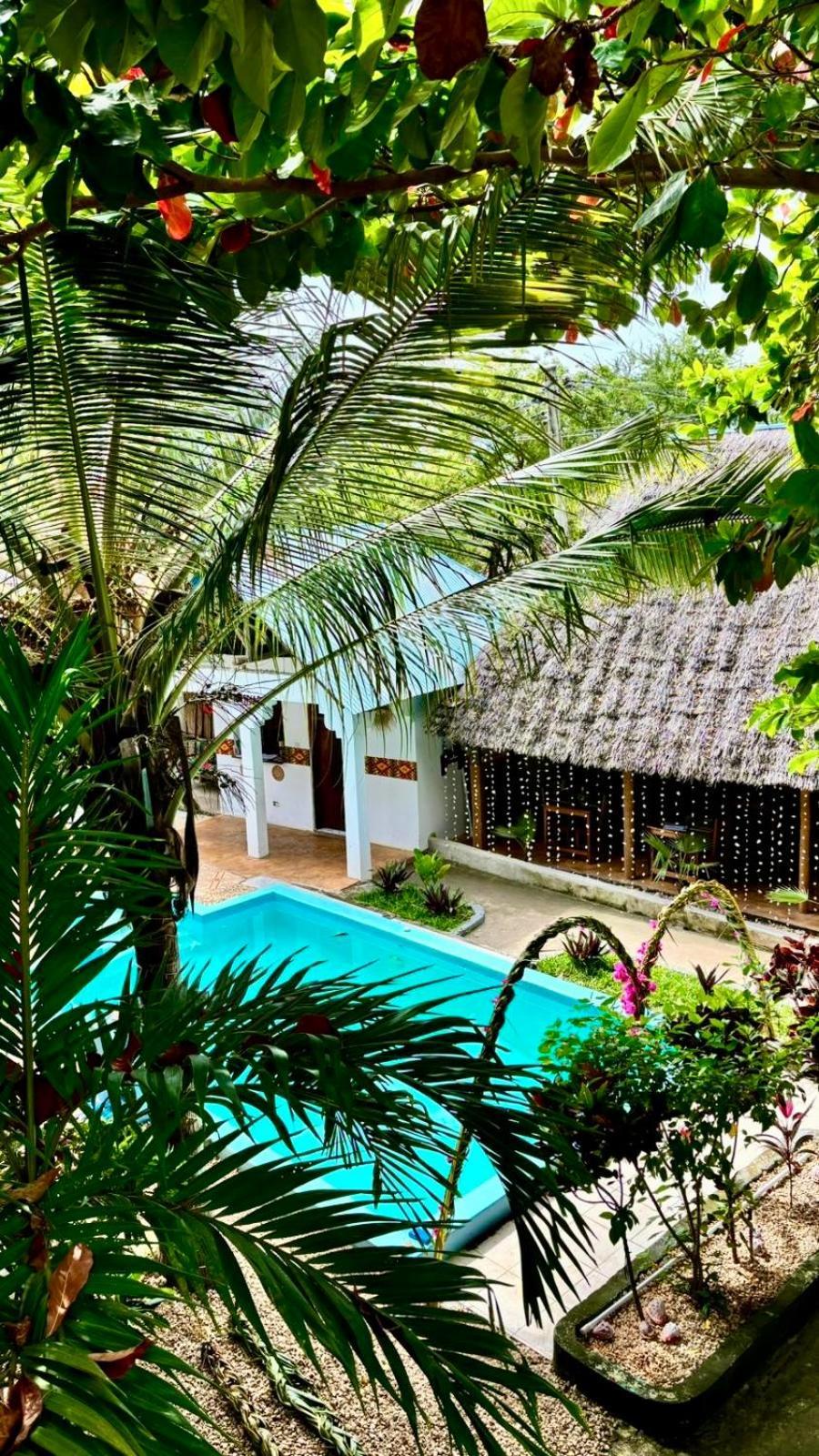 Kilimanjaro Bed & Breakfast
