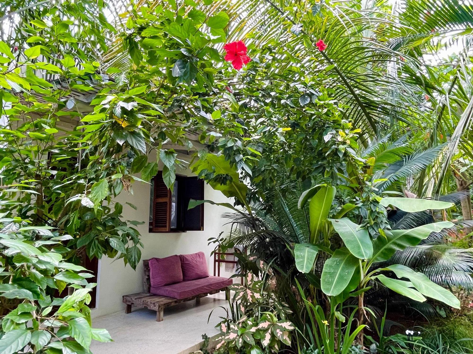 Hotel Gaia Nungwi