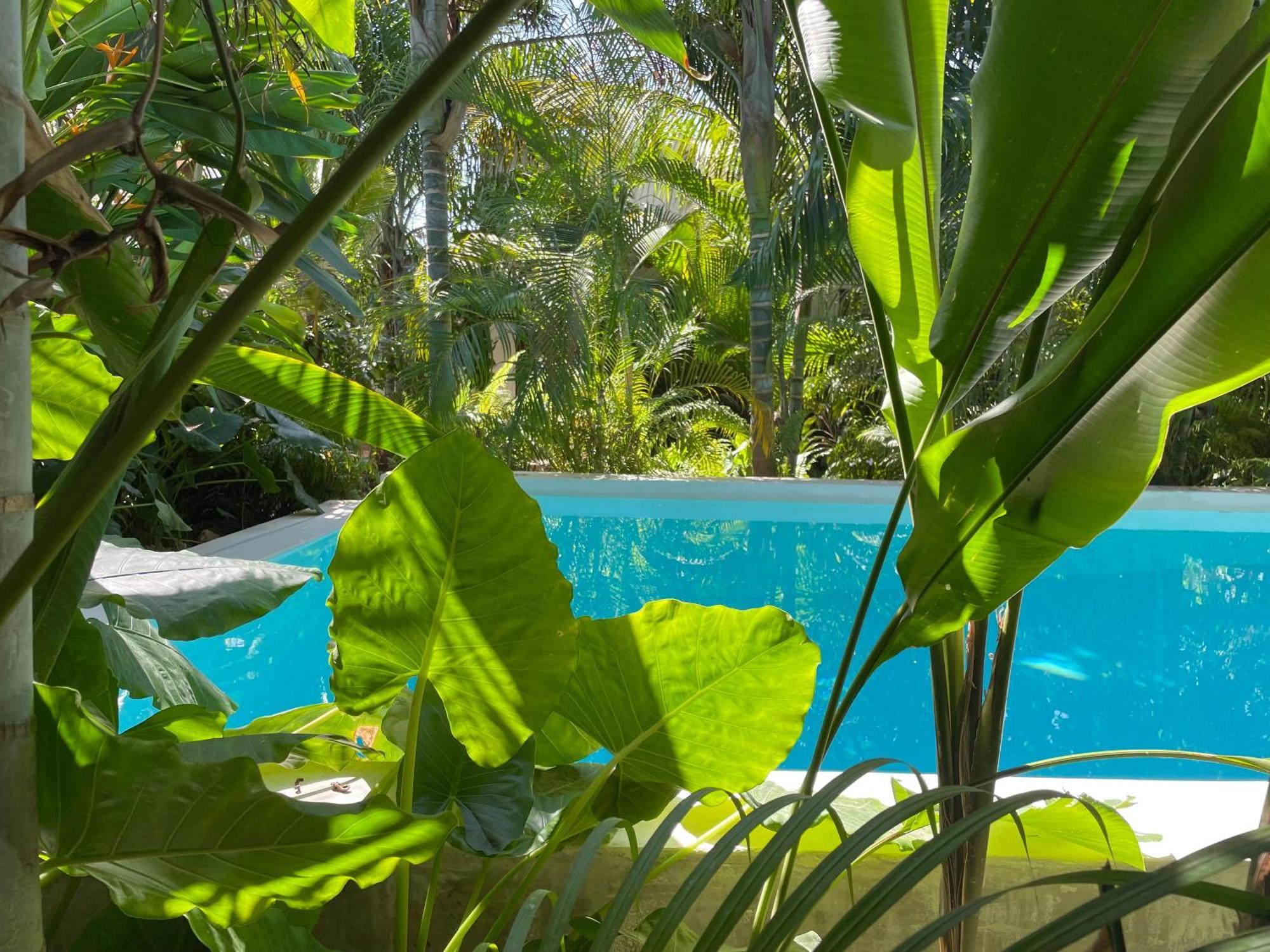 Gaia Hotel Nungwi
