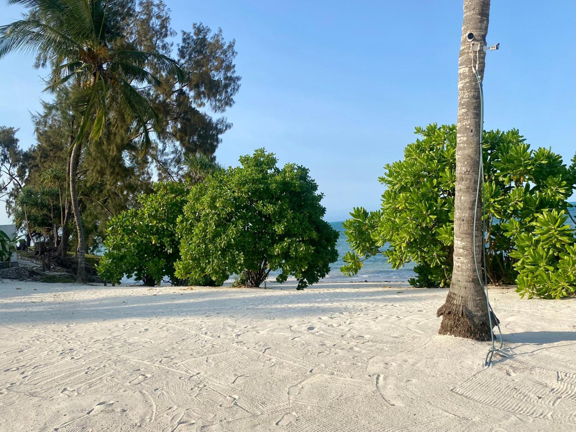 Villa Luxury Lions Zanzibar - With Private Cook&infinity Pools