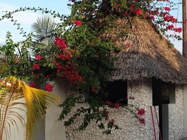 Jawda Star Guest house Nungwi