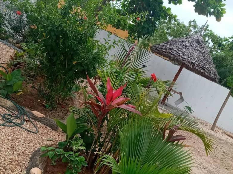 Jawda Star Guest house