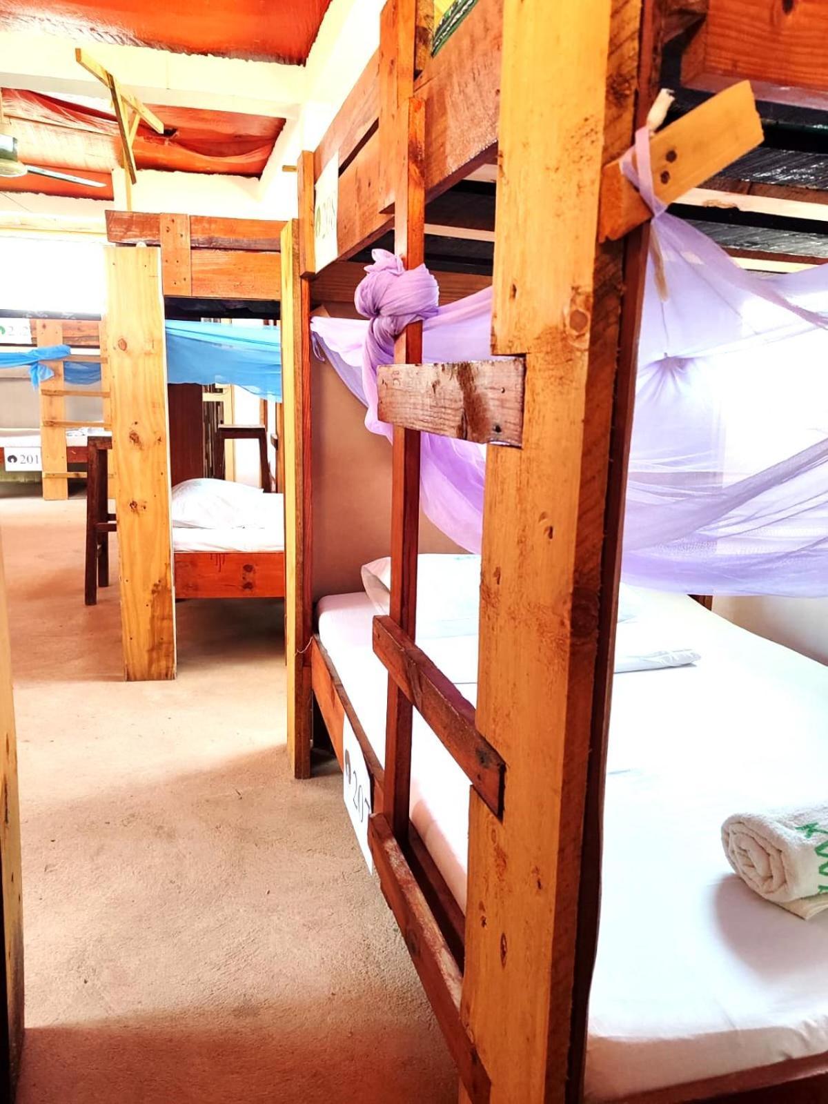 Homeland Swahili Backpacker Budget * Nungwi