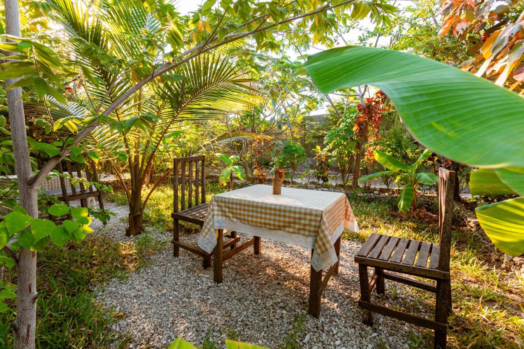 Tropicana Boutique Bed & Breakfast