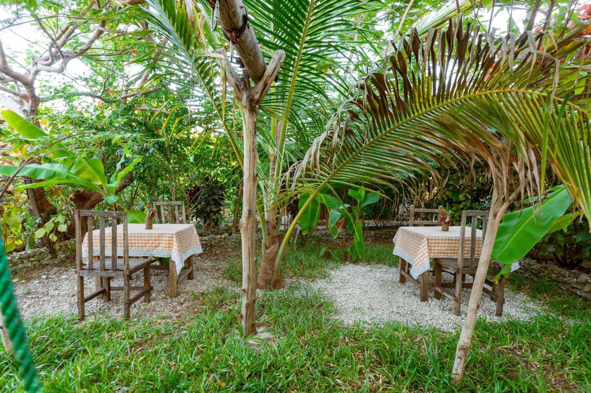 Bed & Breakfast Tropicana Boutique *
