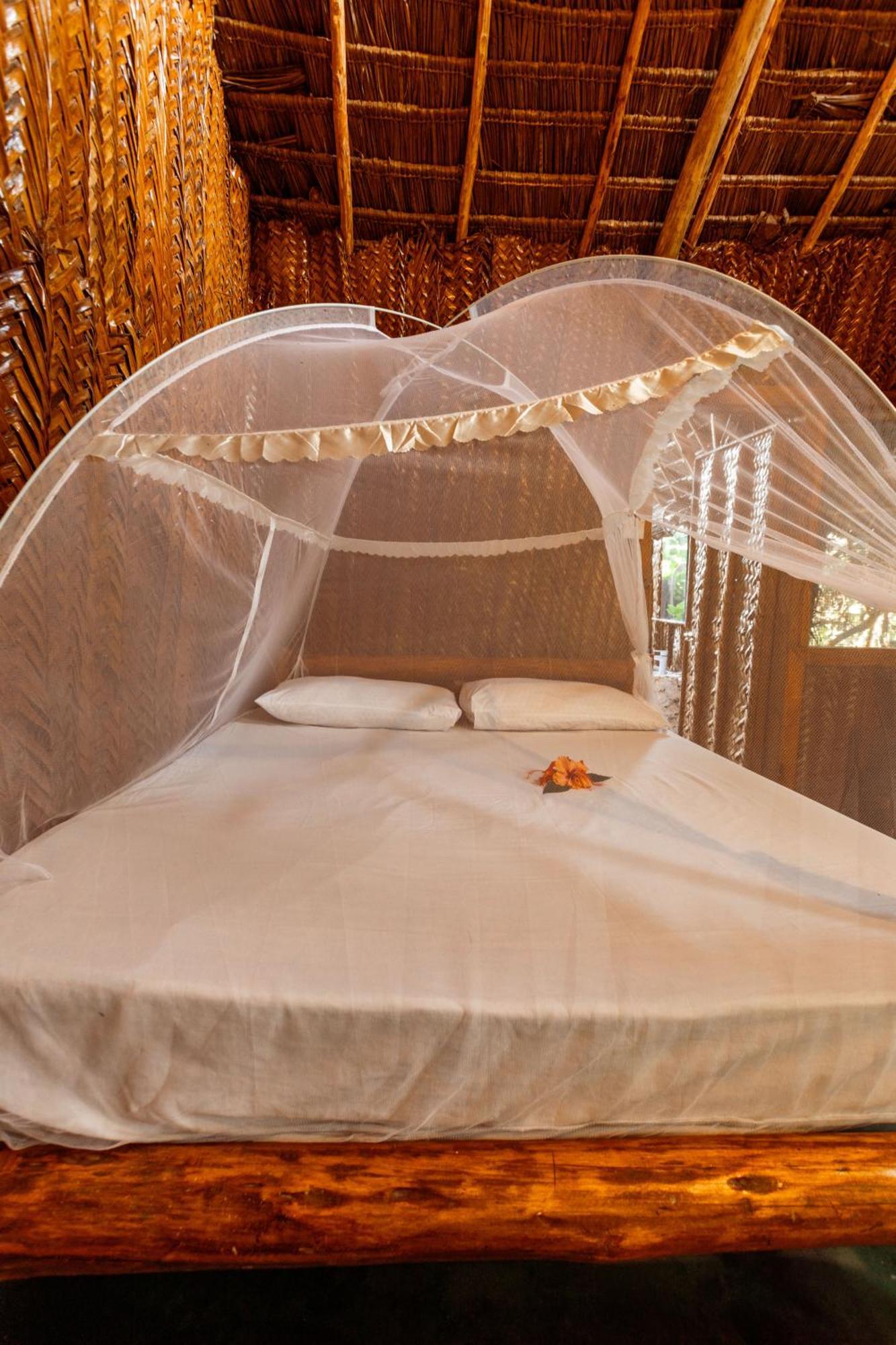 Bed & Breakfast Tropicana Boutique *