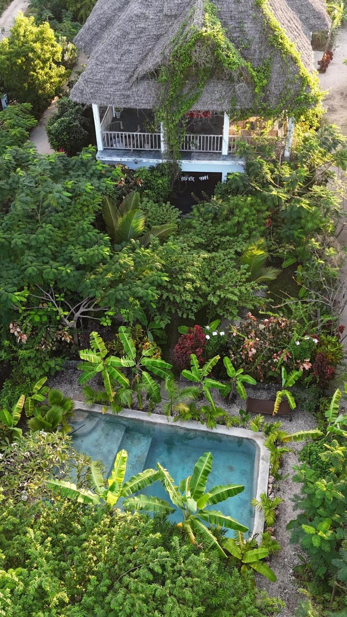 Bed & Breakfast Tropicana Boutique