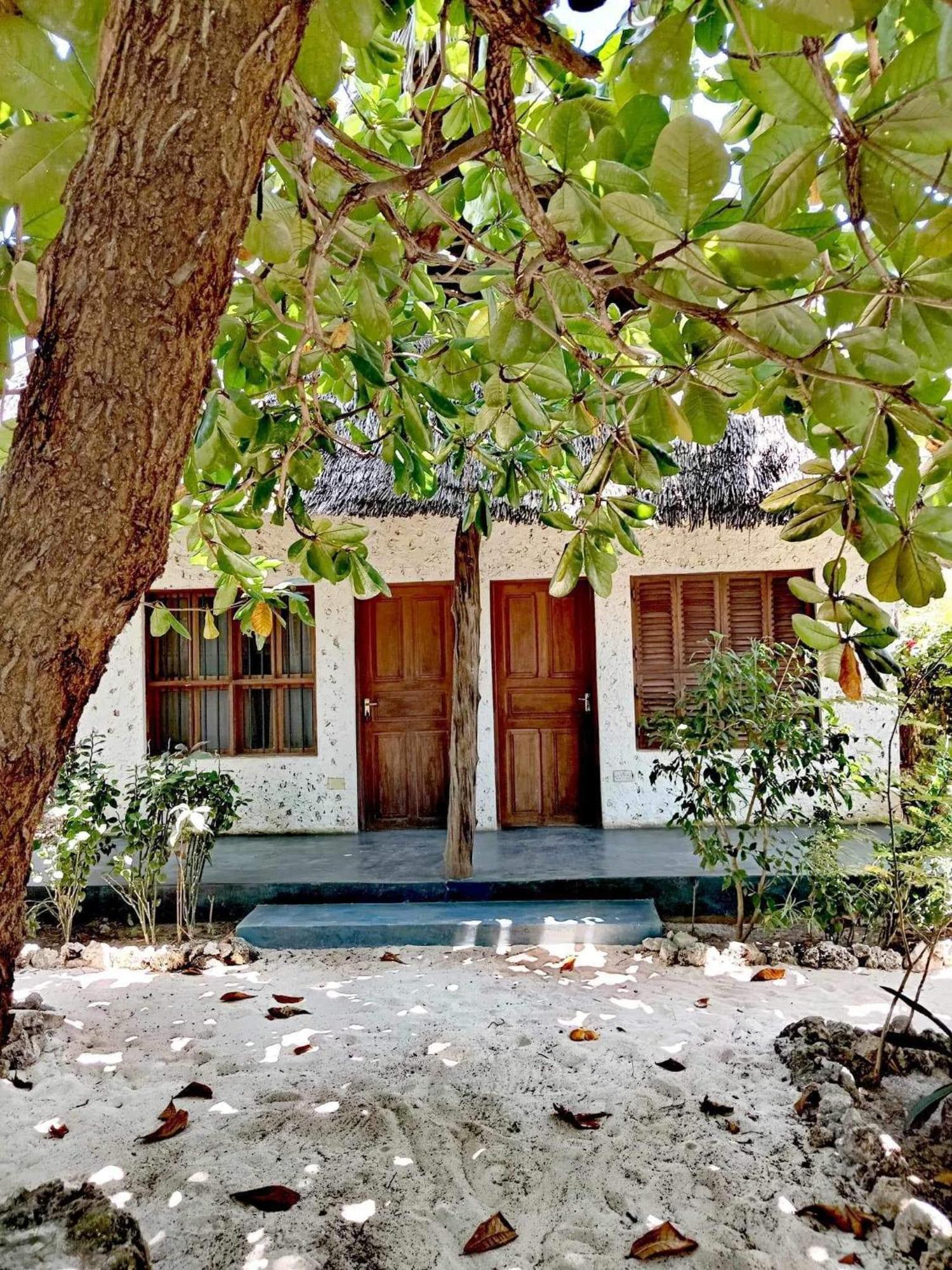 Tropicana Boutique Bed & Breakfast Bwejuu