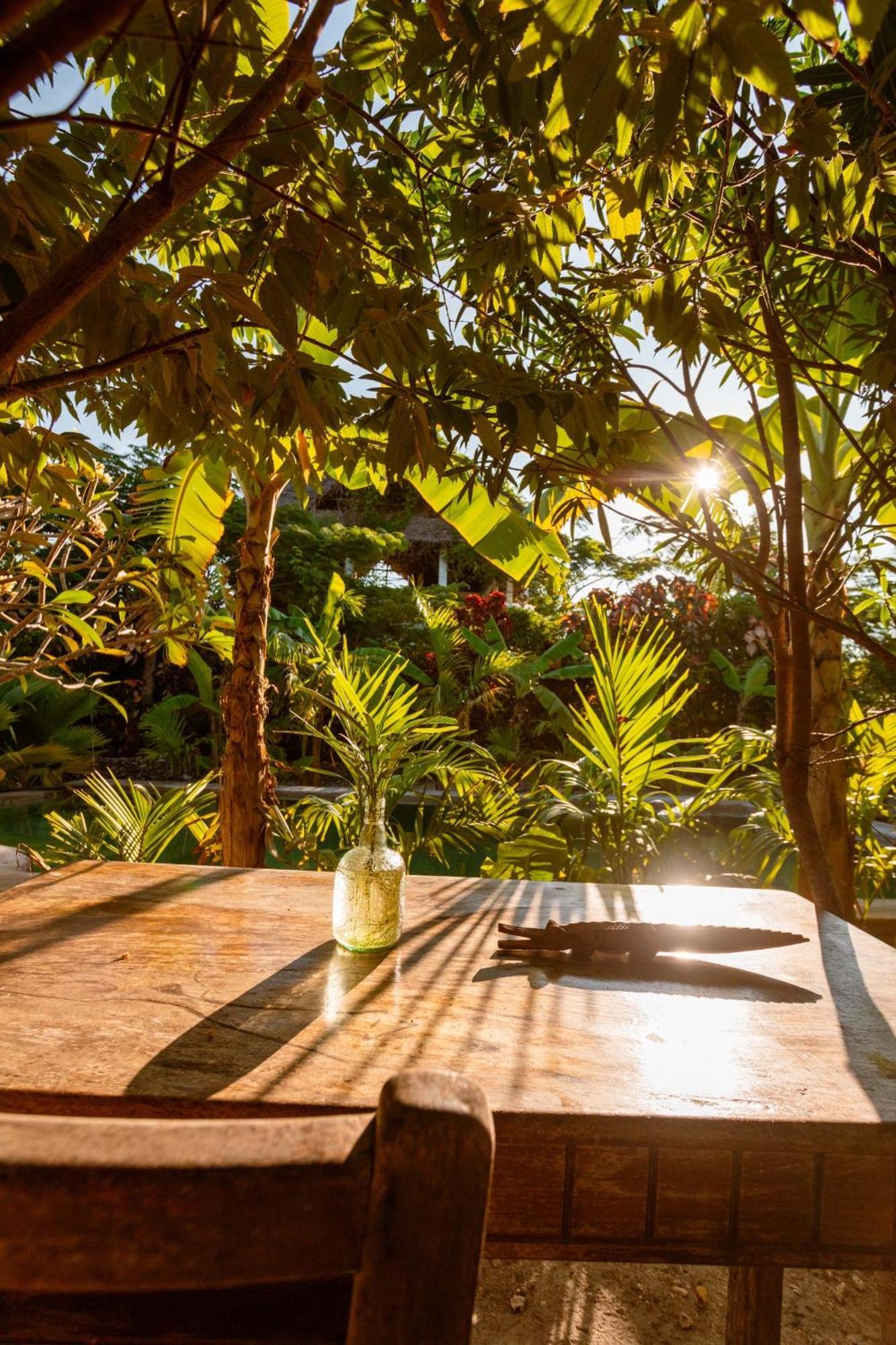 Bed & Breakfast Tropicana Boutique