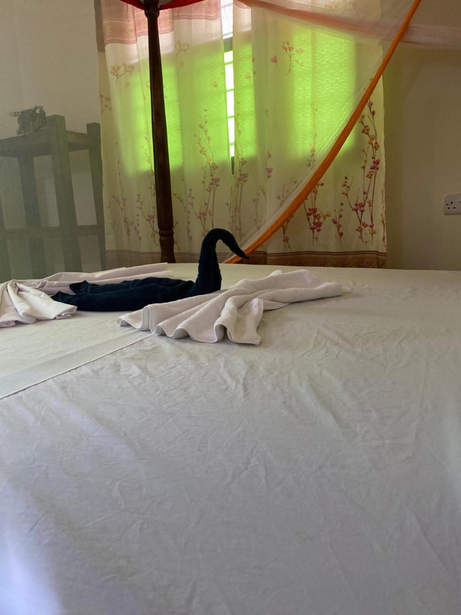 Bed & Breakfast Falcon House *