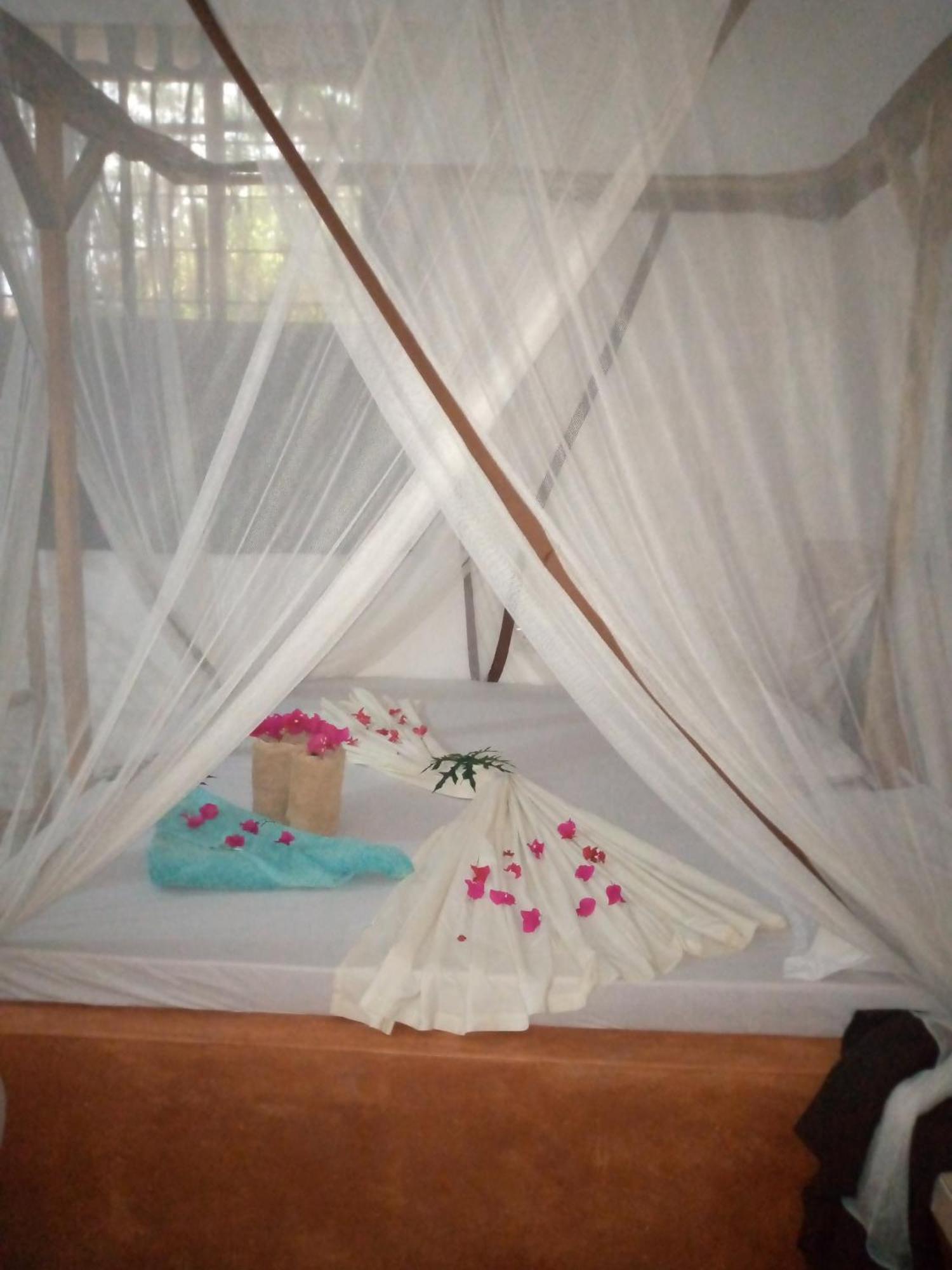 Apartment Macheko Jambiani (Zanzibar)