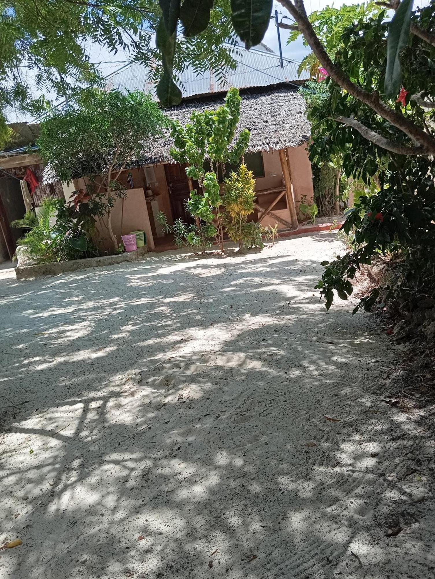 Apartment Macheko Jambiani (Zanzibar)
