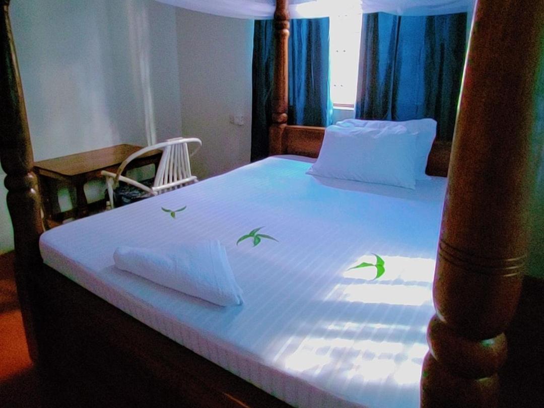 Apartment Kobwa House & Back Packers *