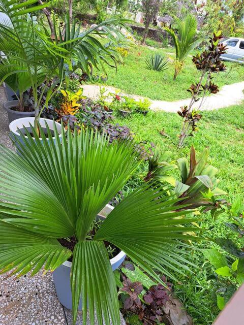 Apartment Diamond Coast Private House