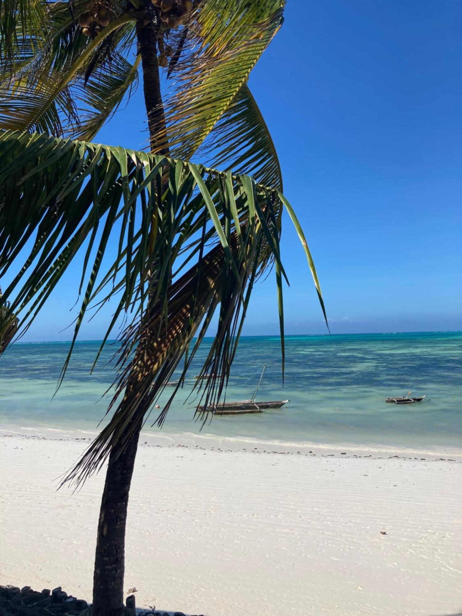Gasthuis Mango House Jambiani (Zanzibar)
