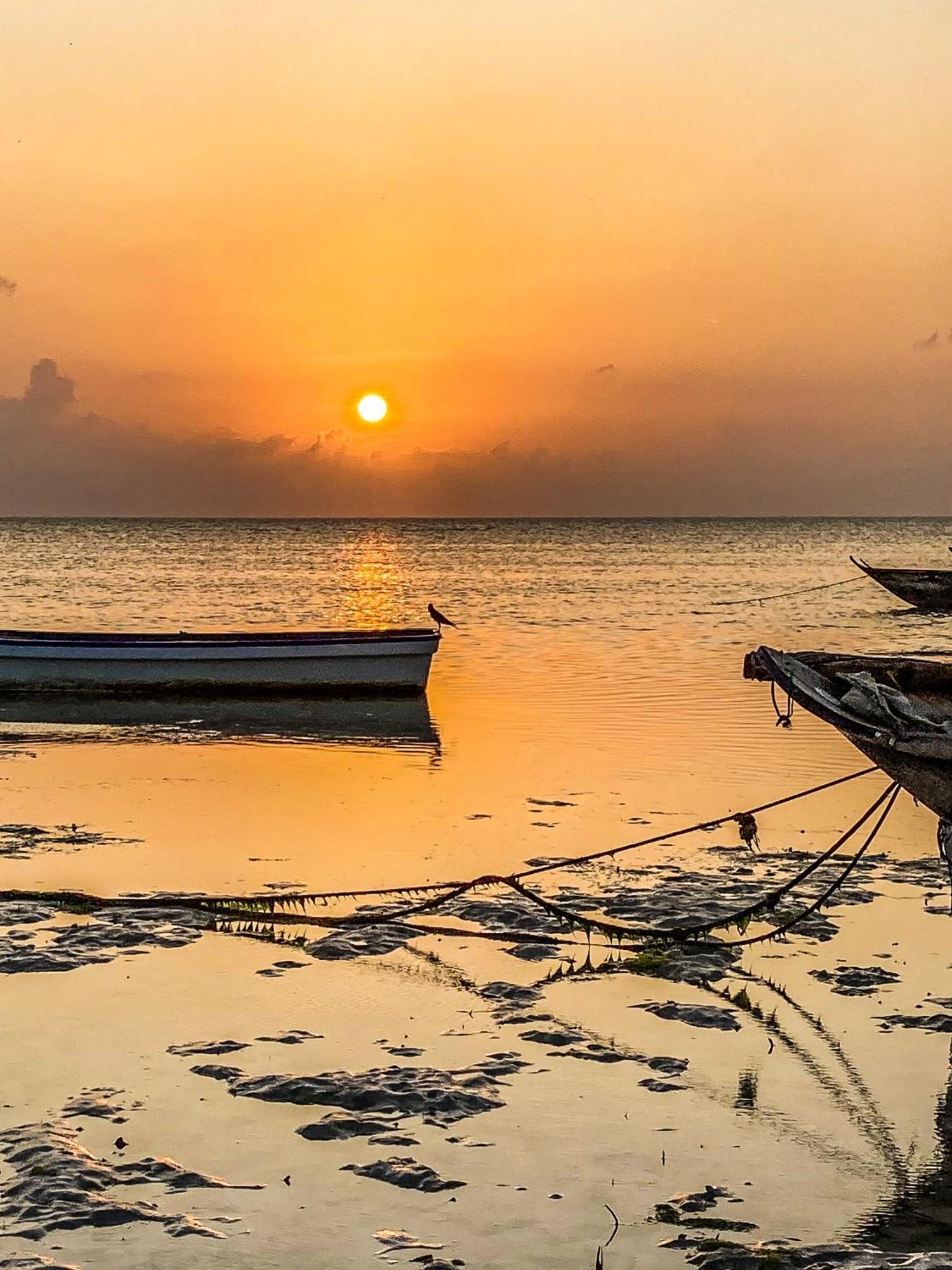 Gasthuis Mango House Jambiani (Zanzibar)