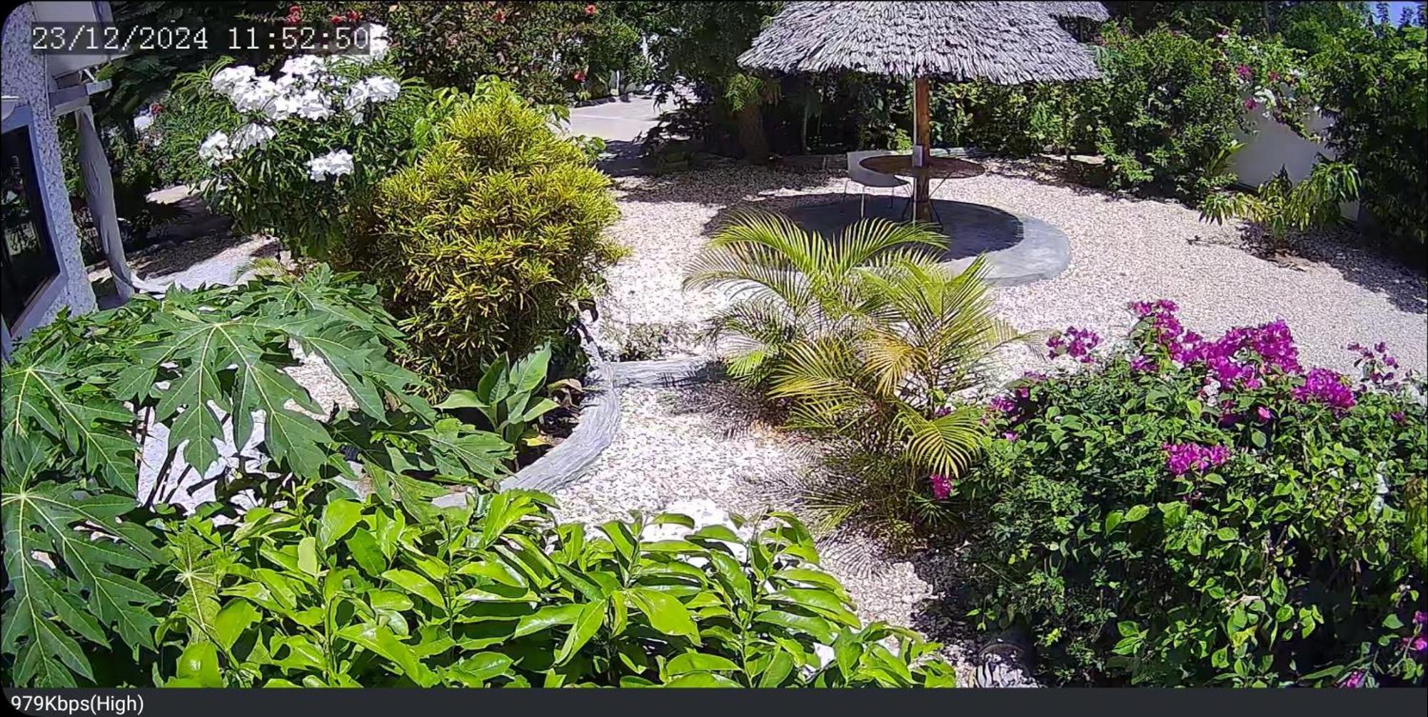 Jawda Star Guest house *
