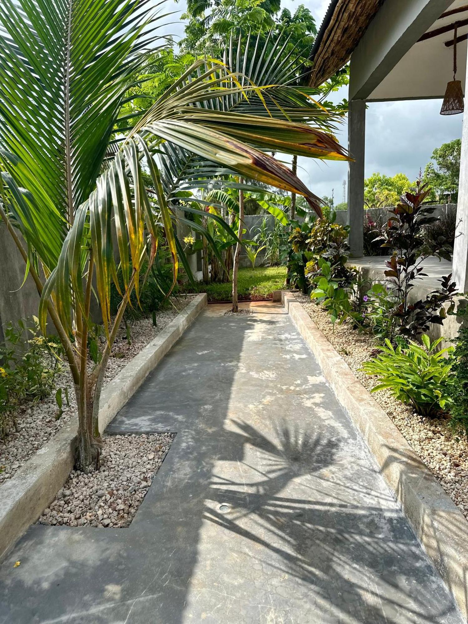 Aloe House *