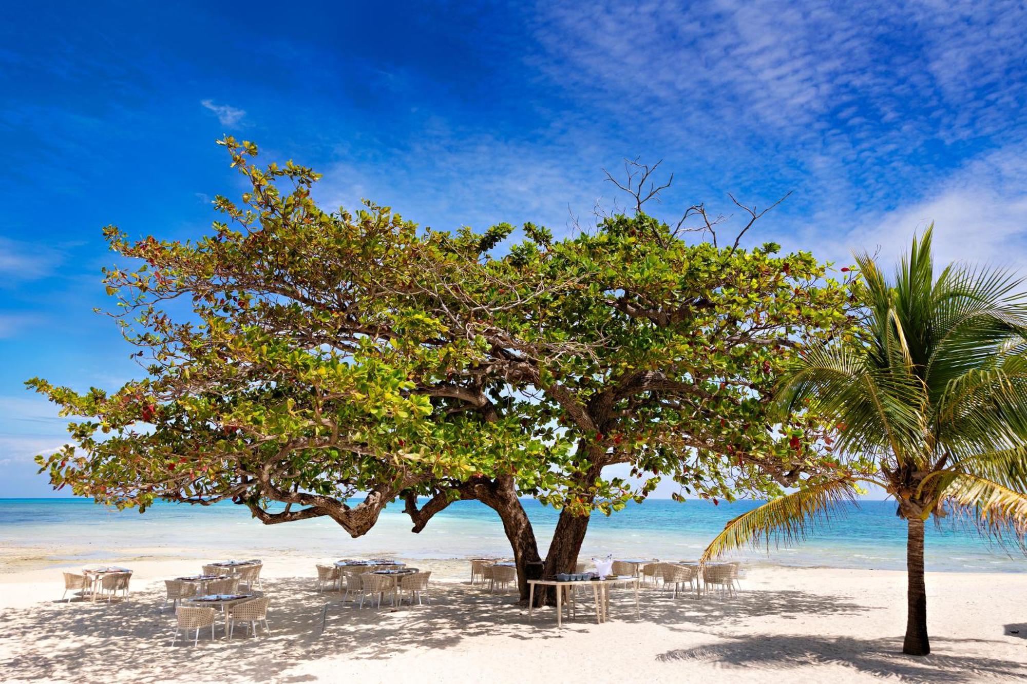 Resort Zanzibar 5*