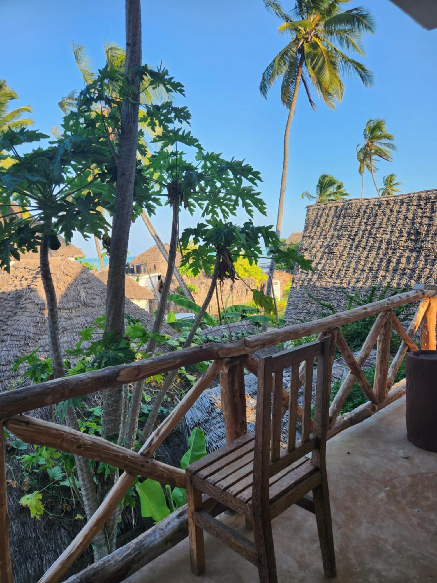 Two Palms