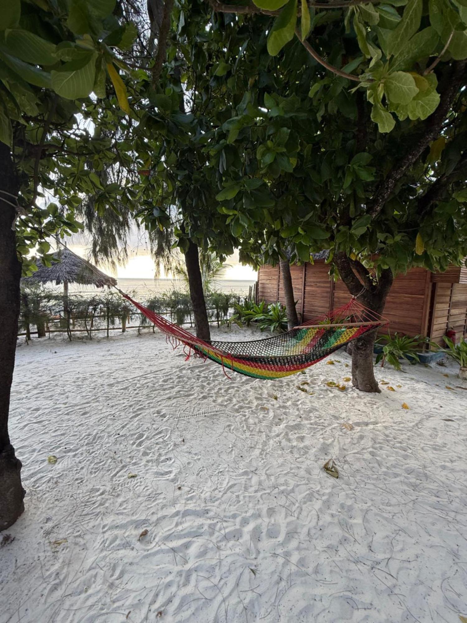 Hotel Tiki Club & (adults Only)
