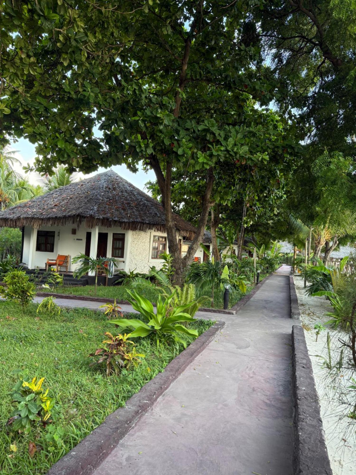 Tiki Club & (adults Only) 4* Bwejuu