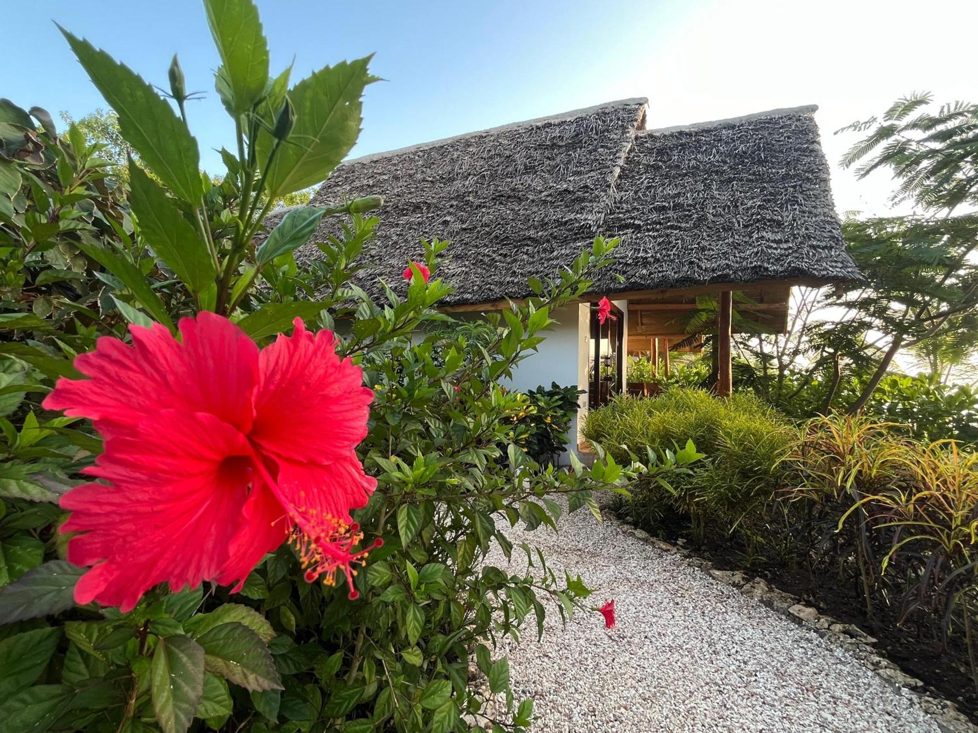 Hotel Bay Kidoti