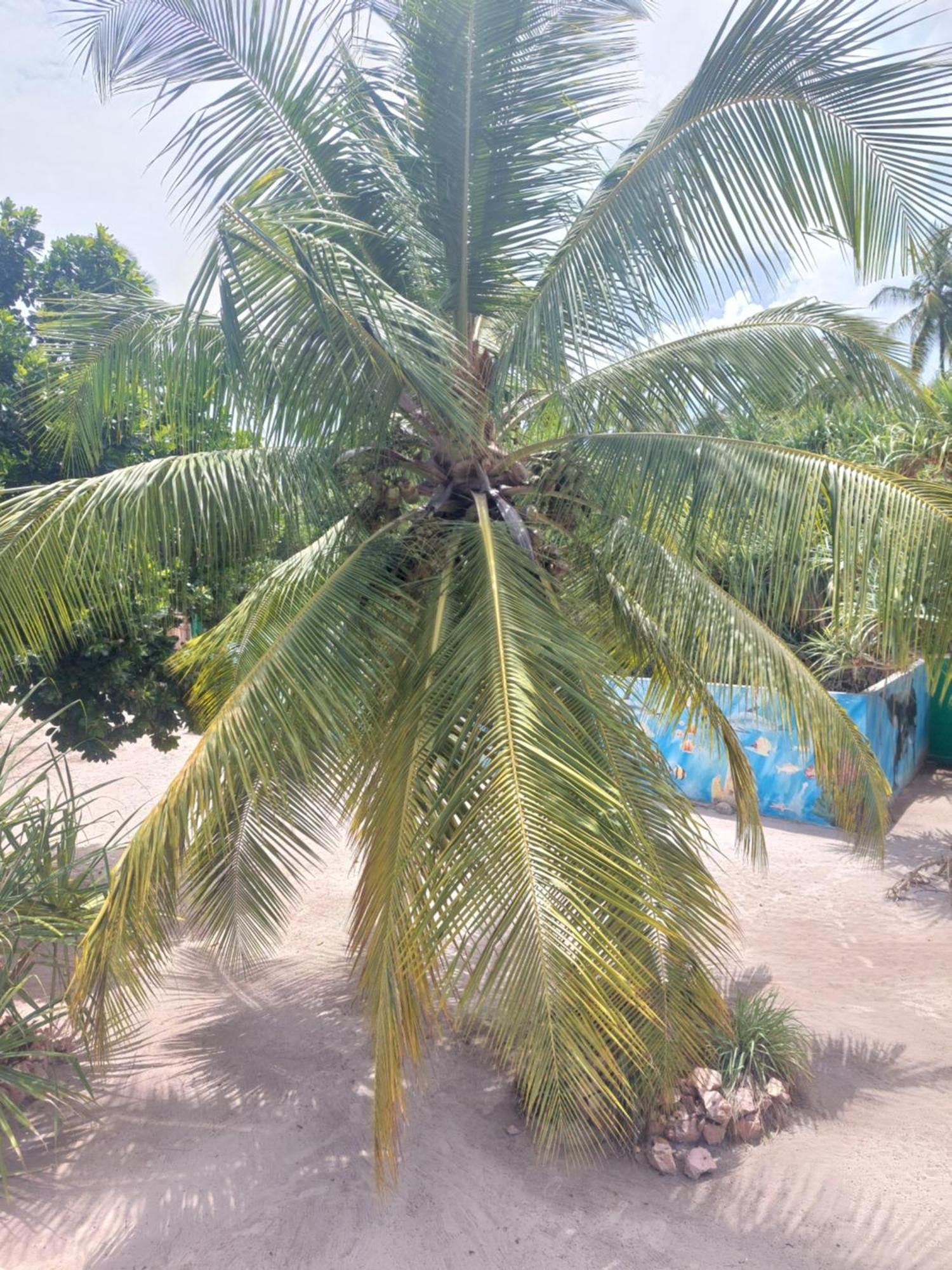 Hotel Princess Of Zanzibar Michamvi Kae