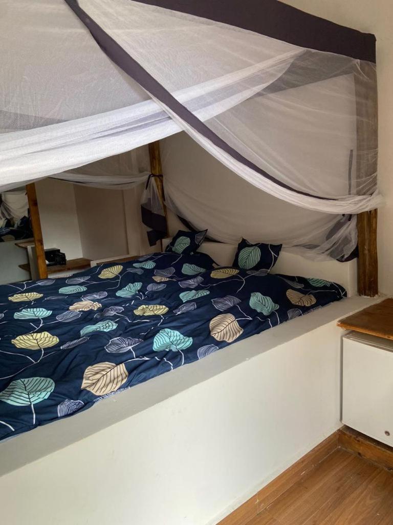 Waka Waka Bed & Breakfast