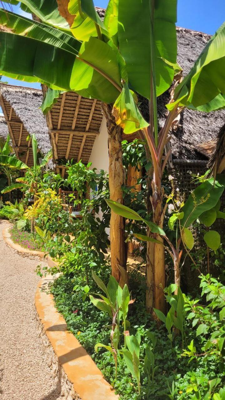 Subanda Boutique * Makunduchi