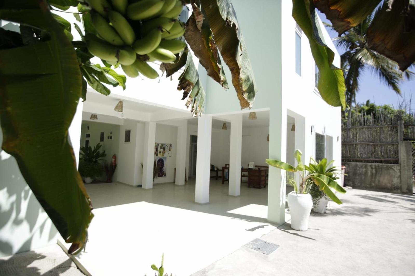 The Moon Living Apartment Paje