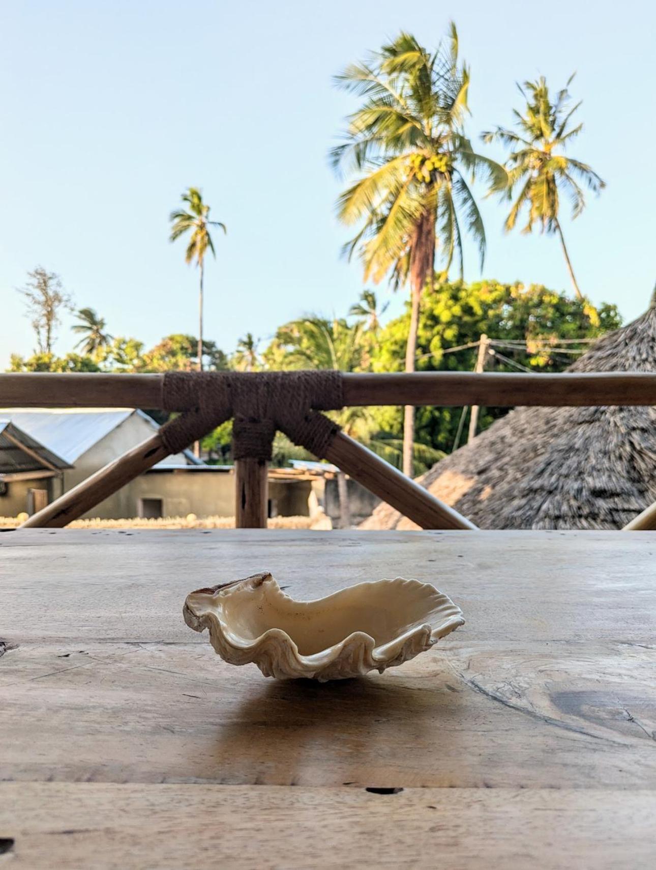 Bed & Breakfast Zuzanu House Nungwi