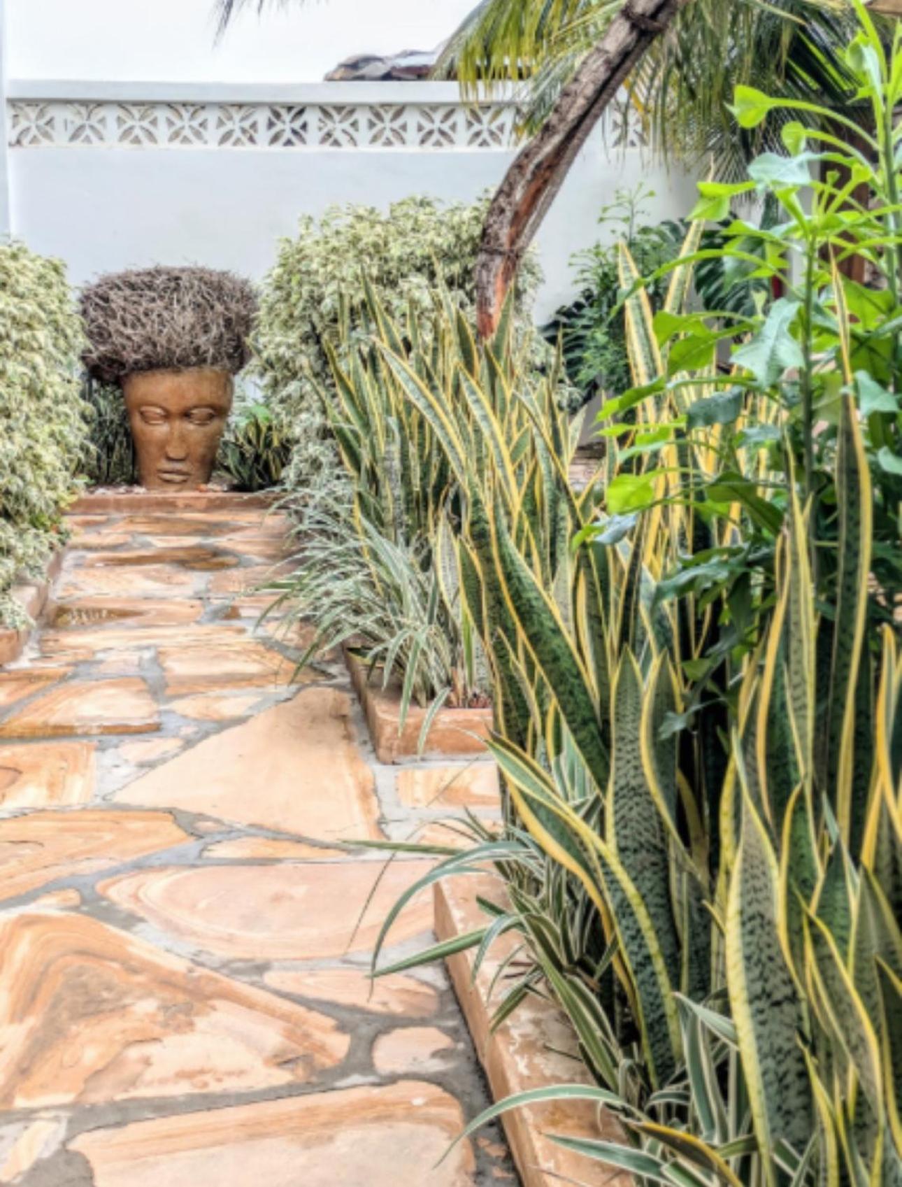 Bed & Breakfast Zuzanu House
