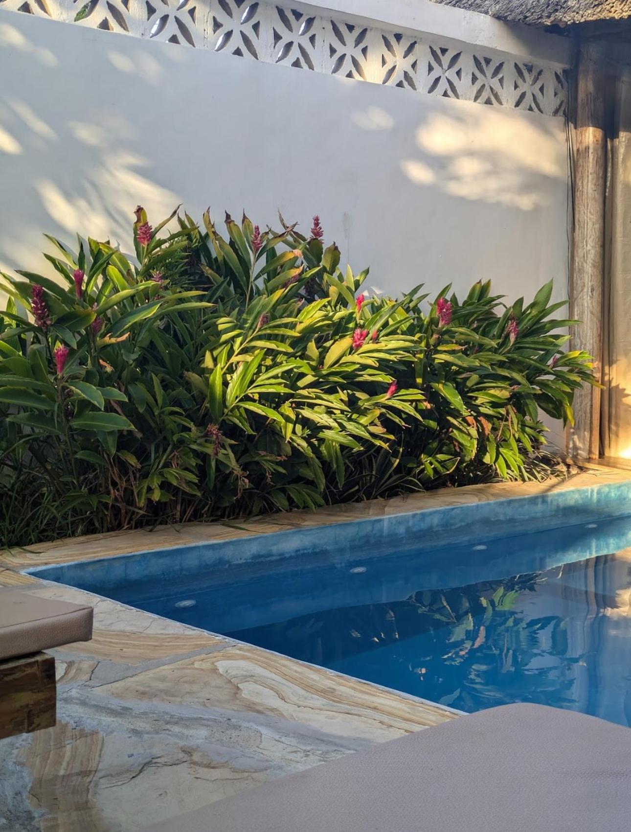 Zuzanu House Nungwi