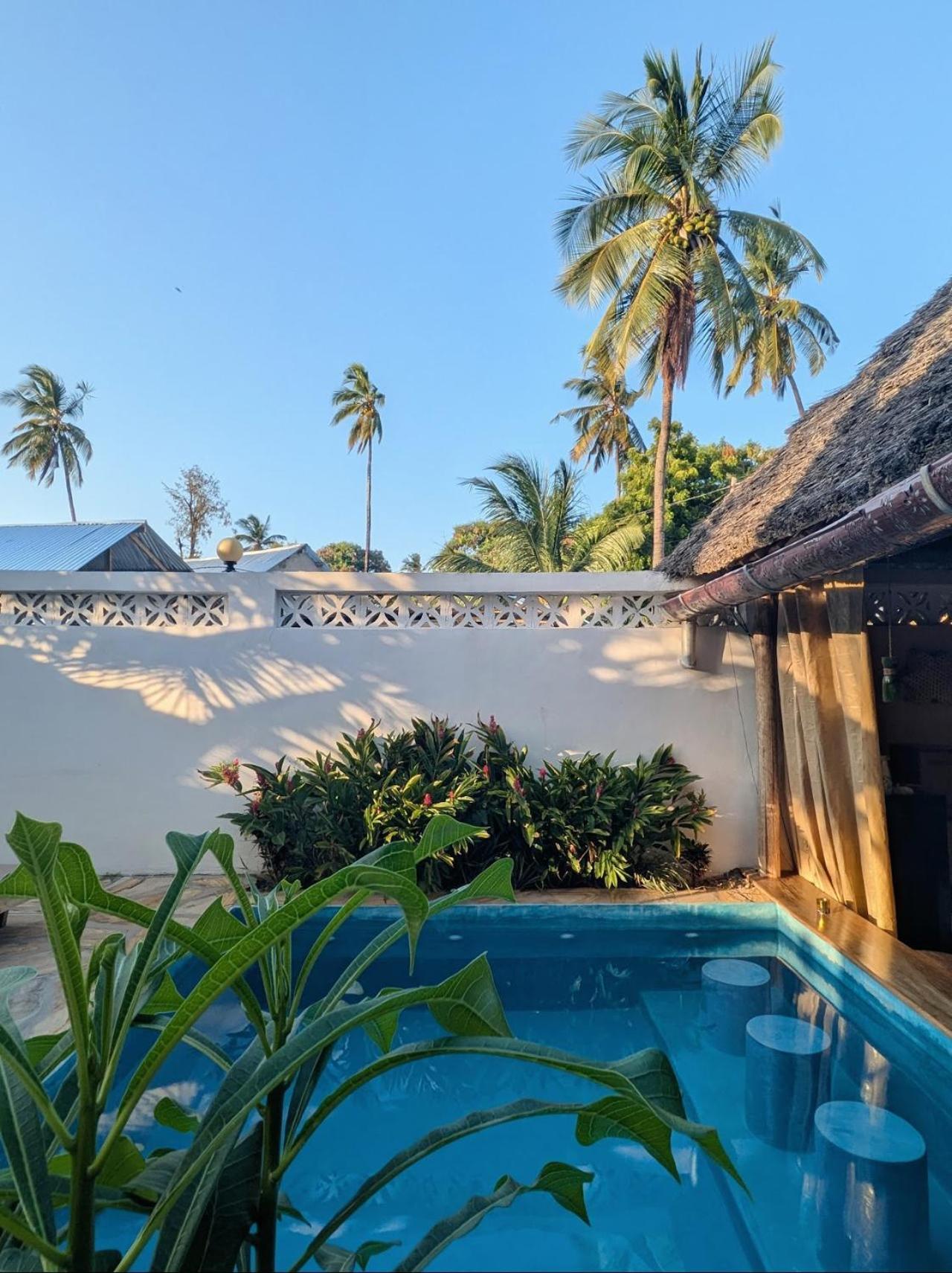 Zuzanu House Bed & Breakfast Nungwi